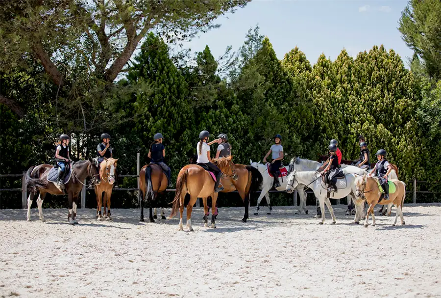 Club intership with the Nimes Centaure Equestrian Center
