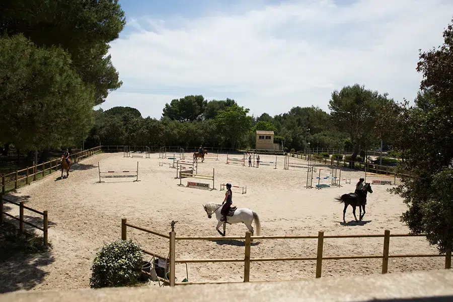 Equide owners at Nimes Centaure equestrian center